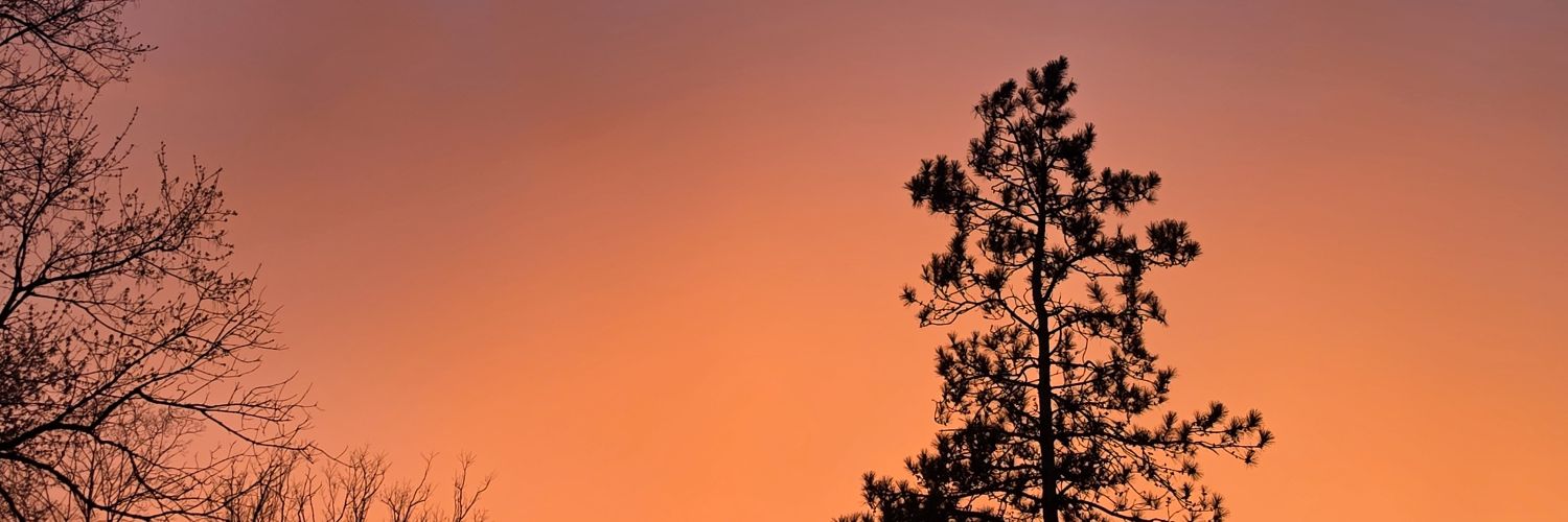 sshortayy06's profile banner image