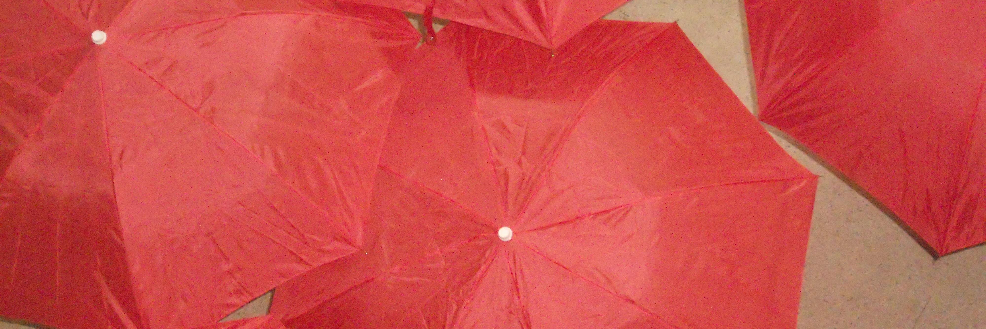 SexWorkAllies's profile banner image