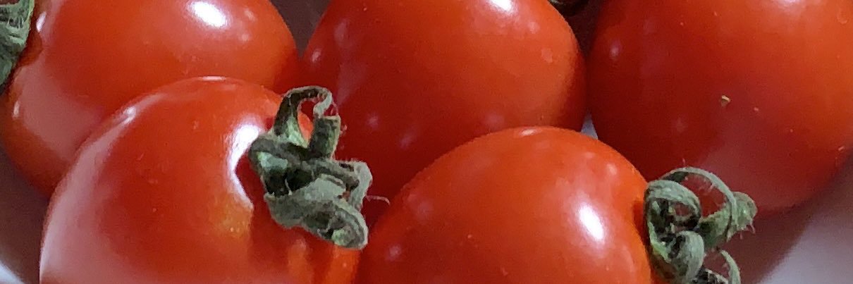 tomato__goods's profile banner image