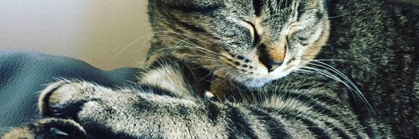 brandon_saxton Profile Banner