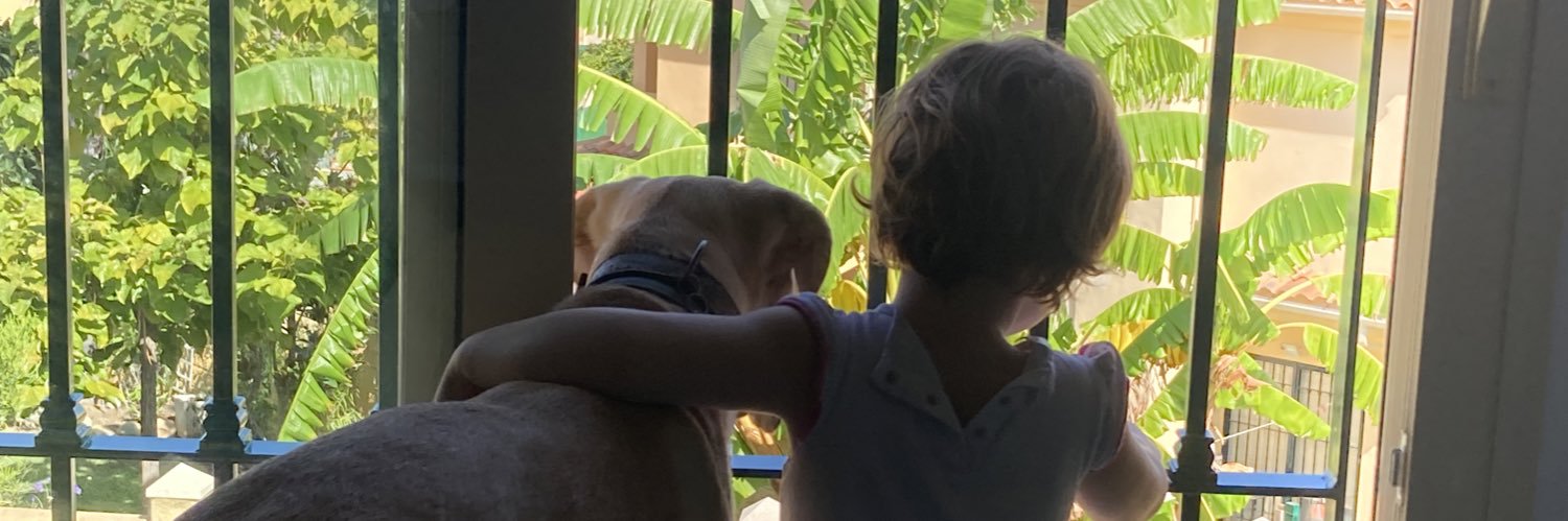 tmpprg's profile banner image
