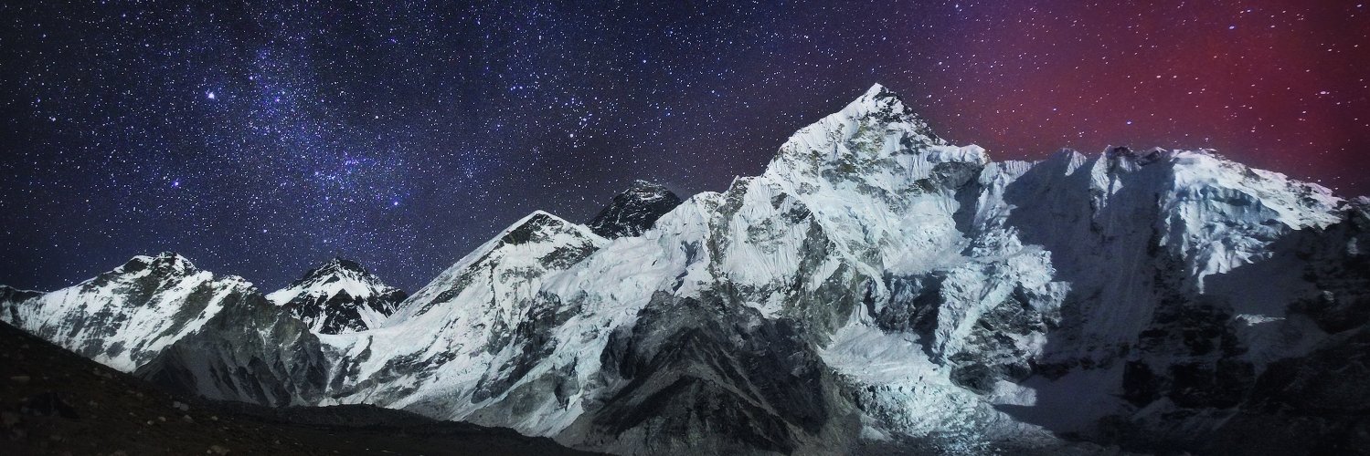 Violets Freedom banner