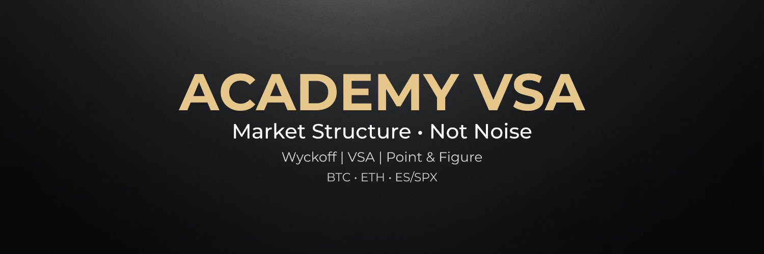 AcademyVSA's profile banner image