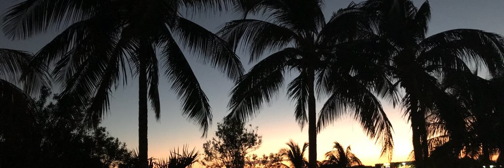 AshleeWarrenx's profile banner image