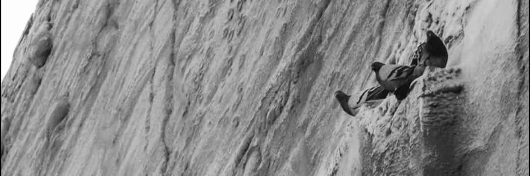 ArmandAndreucci's profile banner image