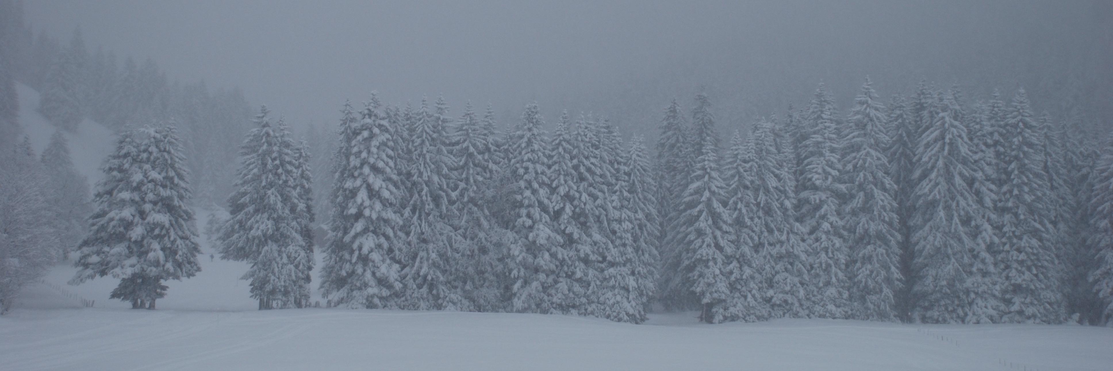 Dimitri Raptis banner