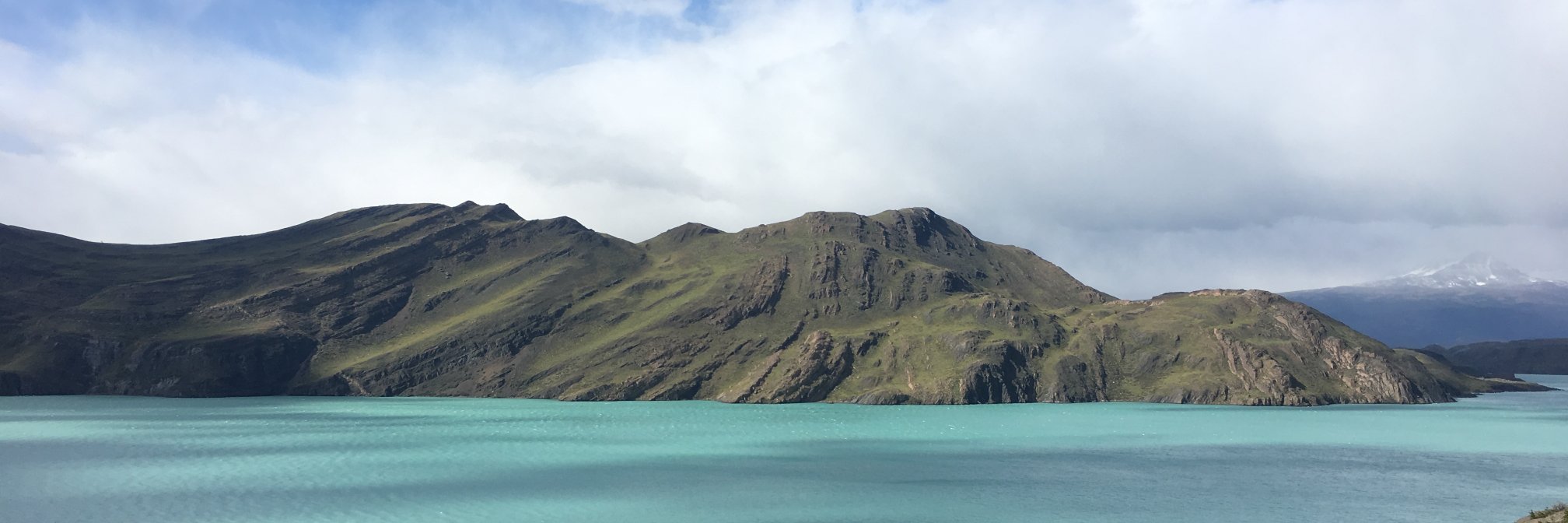 Dr. Emily Marron banner