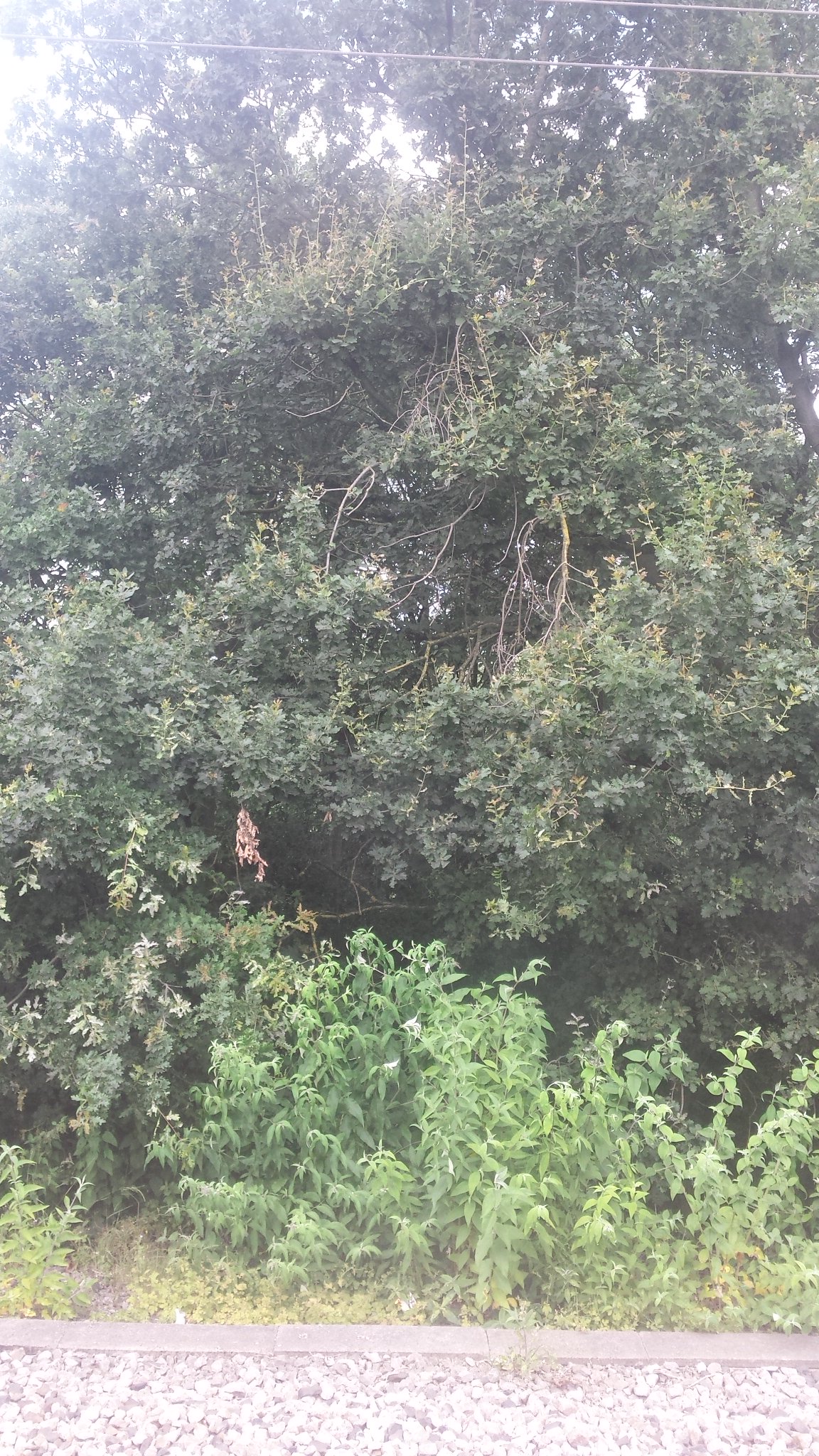 middlesexman2's profile banner image