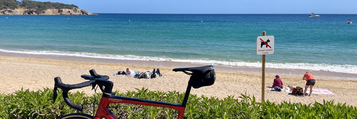 Sachin Palewar banner