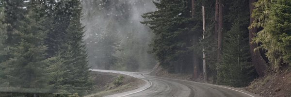 xinwhyi Profile Banner