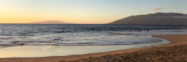 stepharoniee Profile Banner