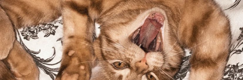 sydmiranda1's profile banner image
