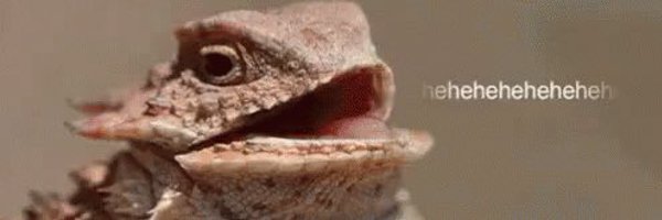 ruby_wawn Profile Banner