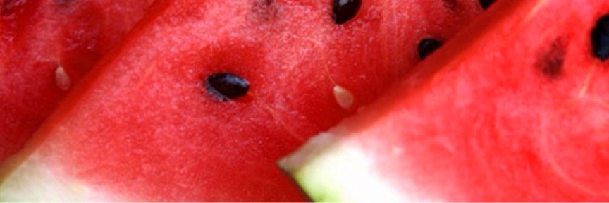 absofcotton's profile banner image