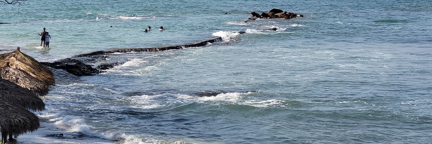 ERNESTO GARCIA 🦜 banner