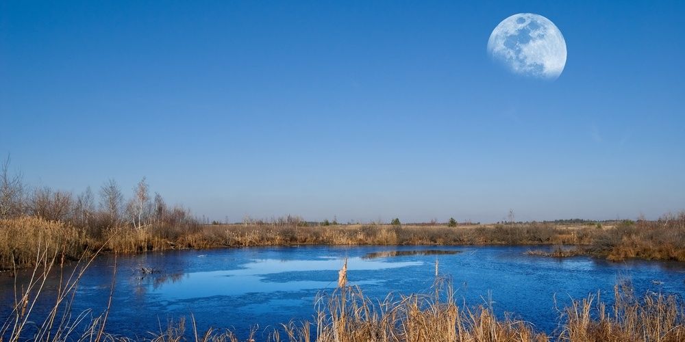 TheUpperDuck's profile banner image