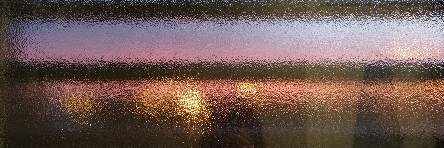 EvaBioBio's profile banner image