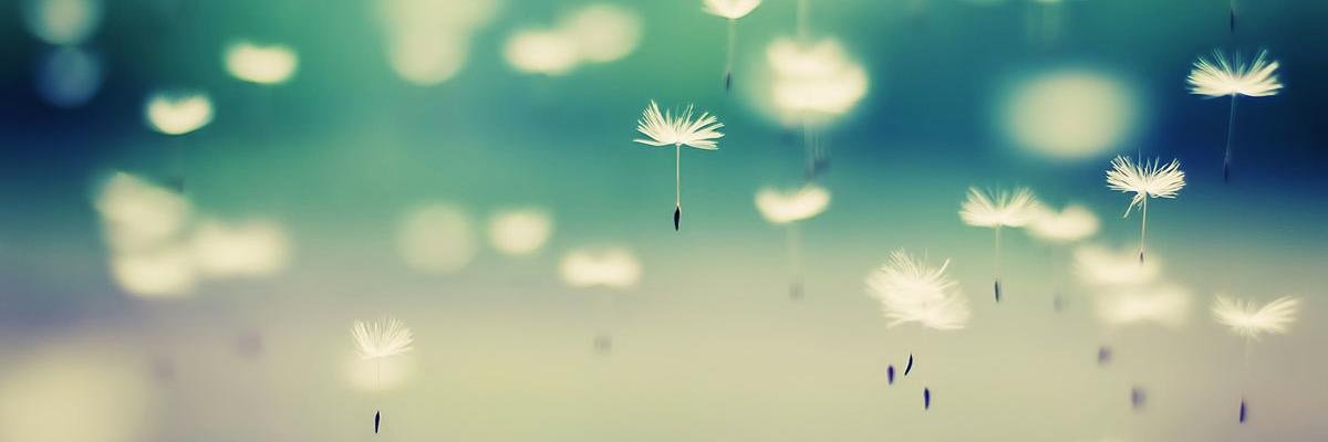trueinsightsc's profile banner image