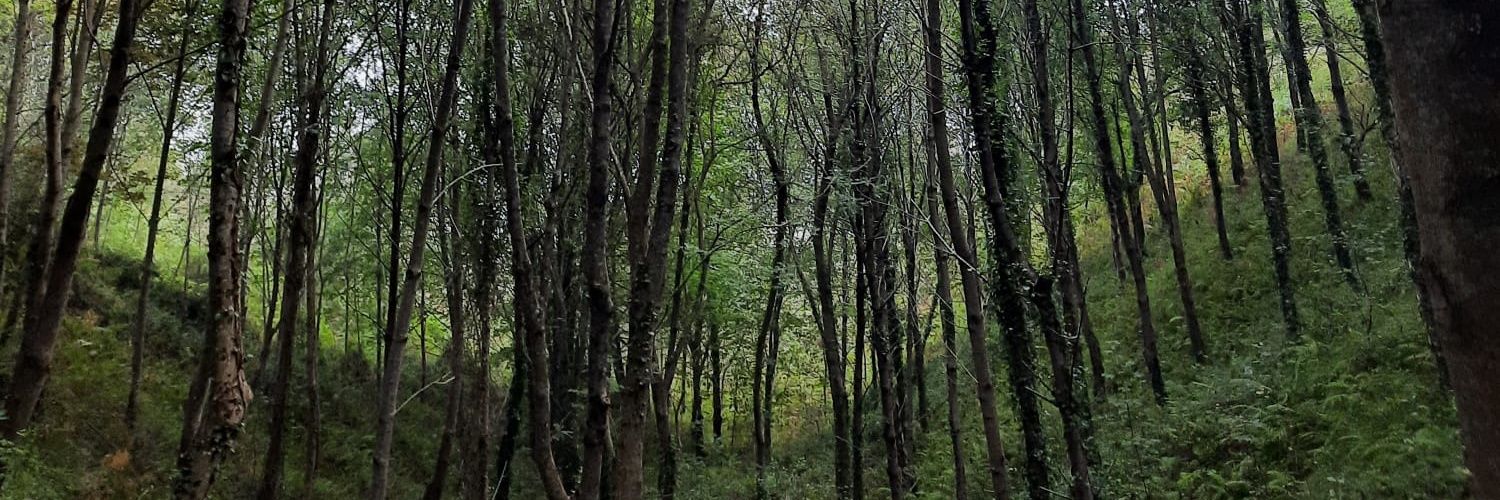 Esther Fraile Pelaz banner