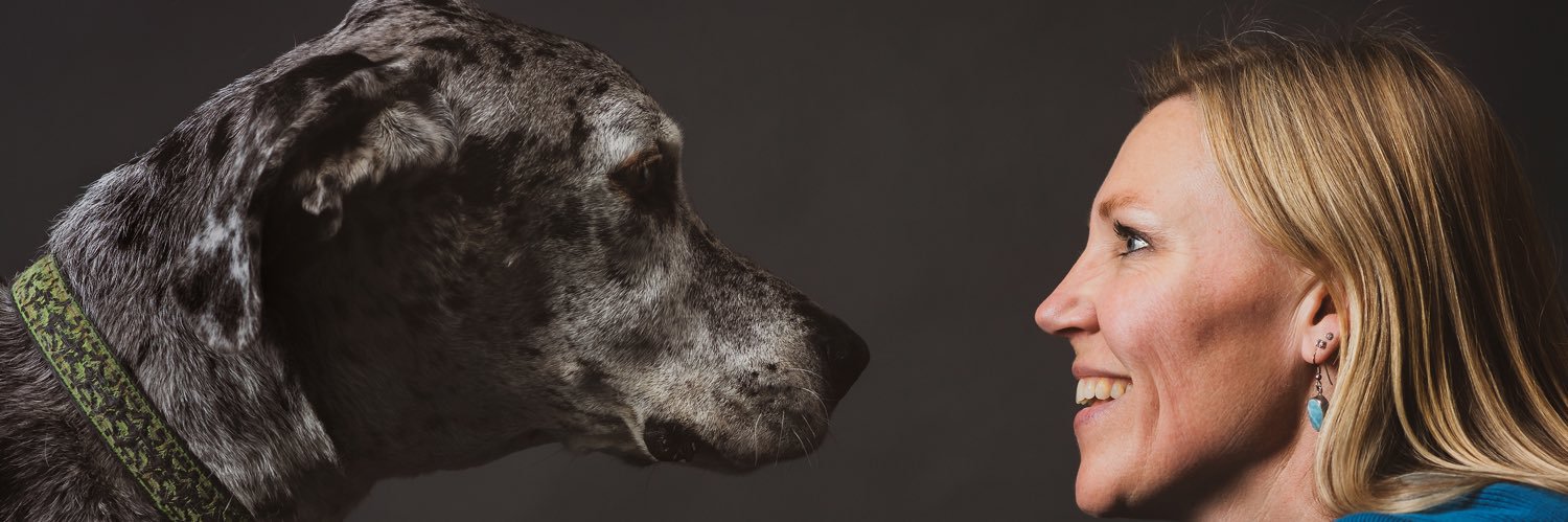 Dr. Audrey Ruple banner