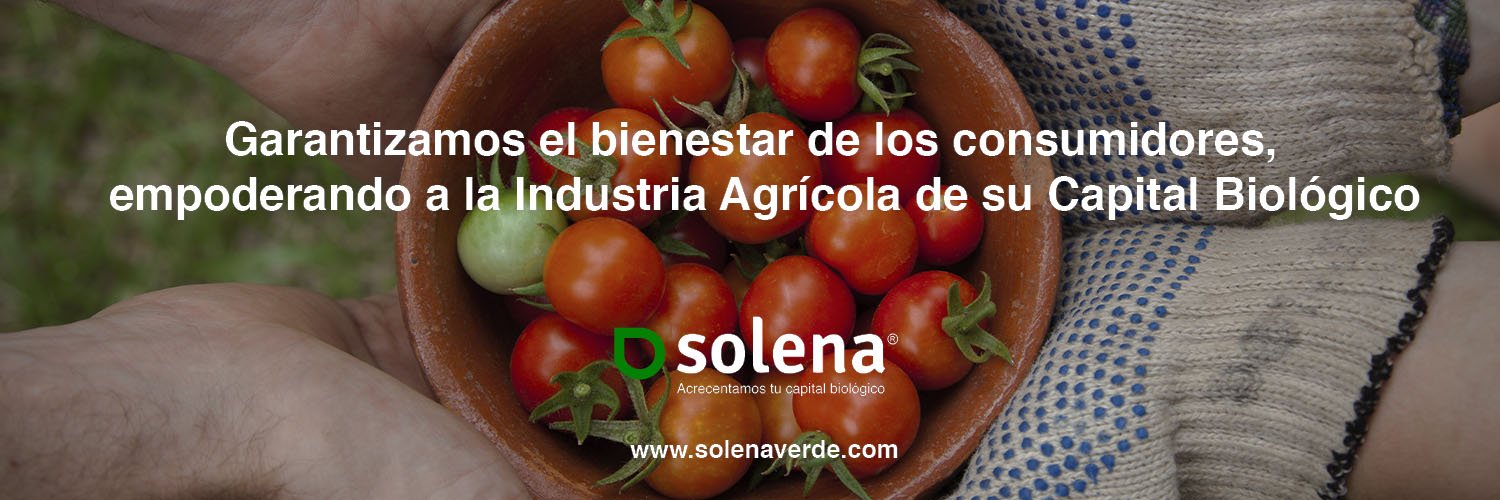 Solena_global's profile banner image