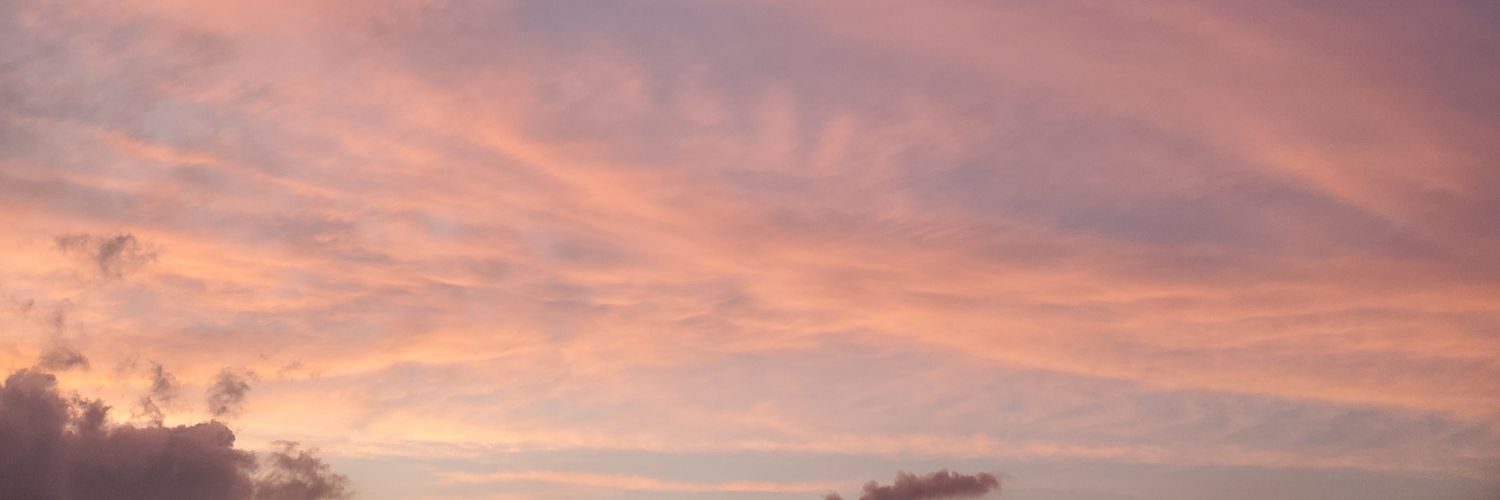 Dawn Losiewicz banner