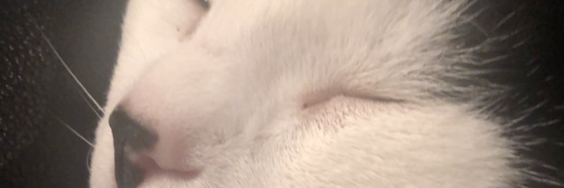 ashyoncrack's profile banner image