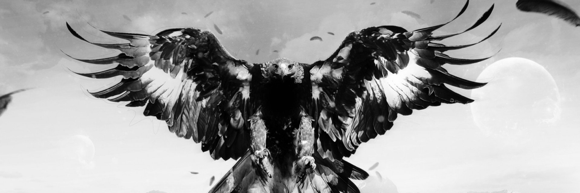ybuchkov's profile banner image
