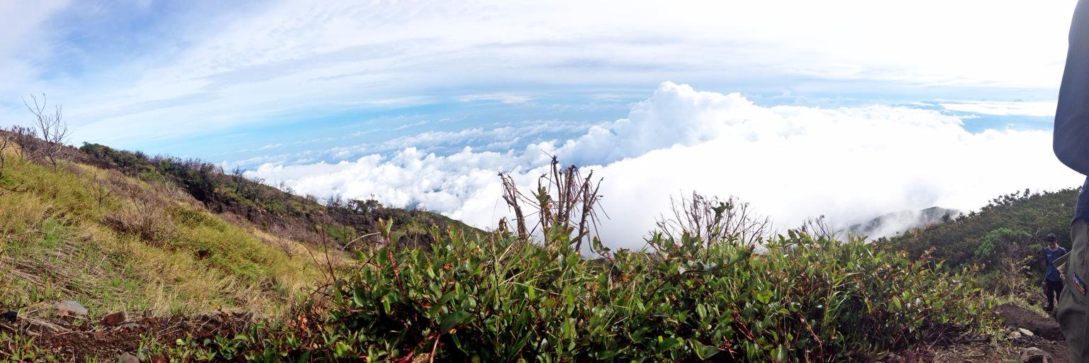 AgusZulfikar's profile banner image