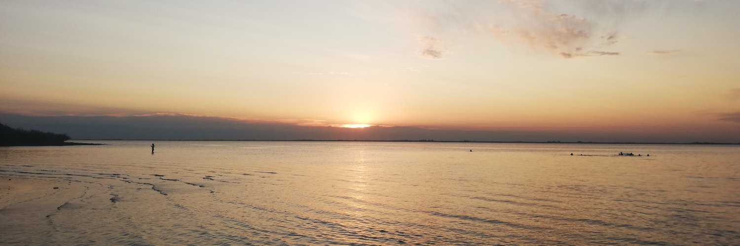 AlbaJosa's profile banner image