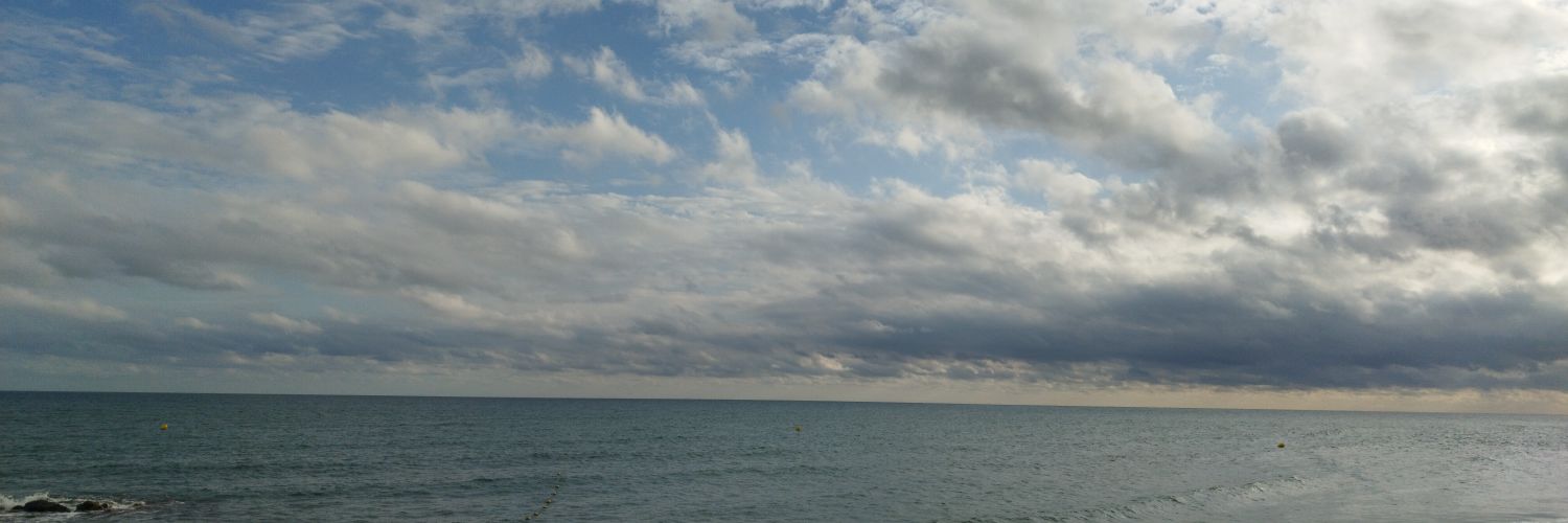 RogerRibo's profile banner image
