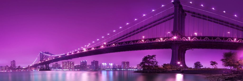 didi_lyna's profile banner image