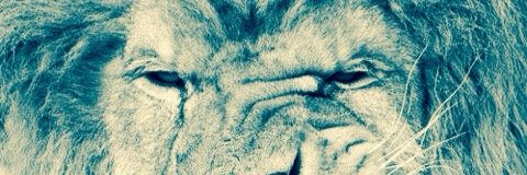 rii_b11's profile banner image