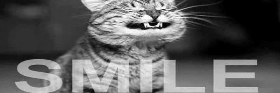 Bemme69's profile banner image