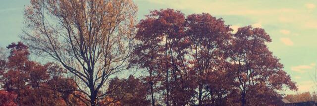 TbhIdcMaria's profile banner image