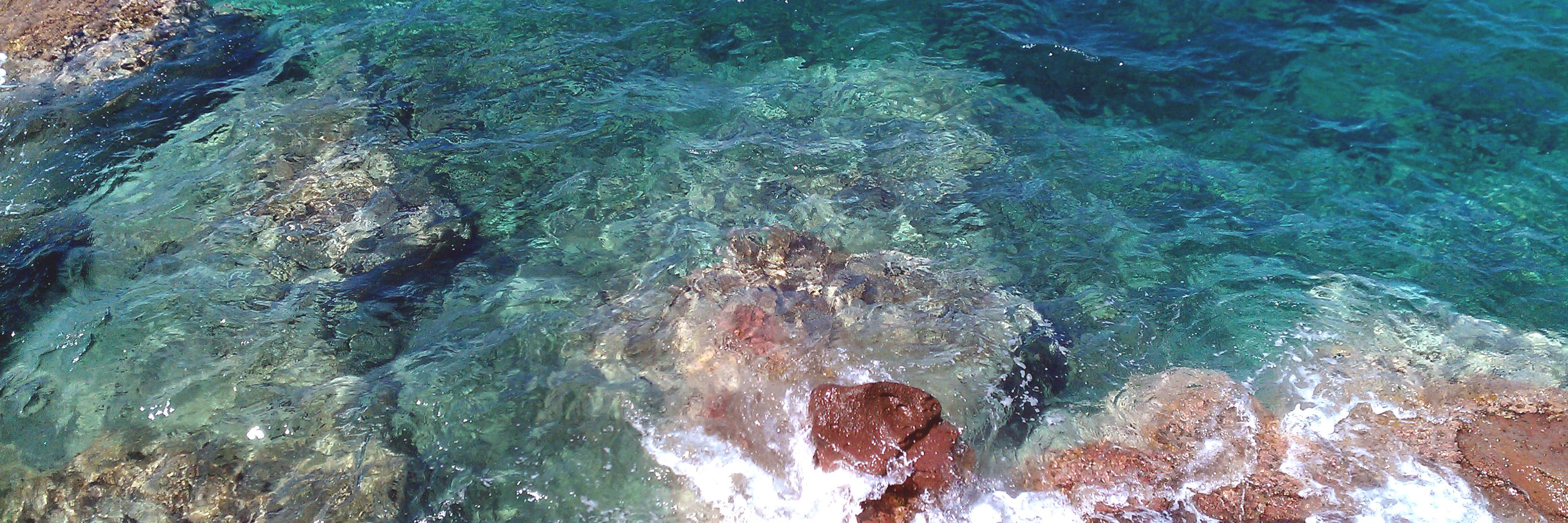 Emilio De Capitani banner