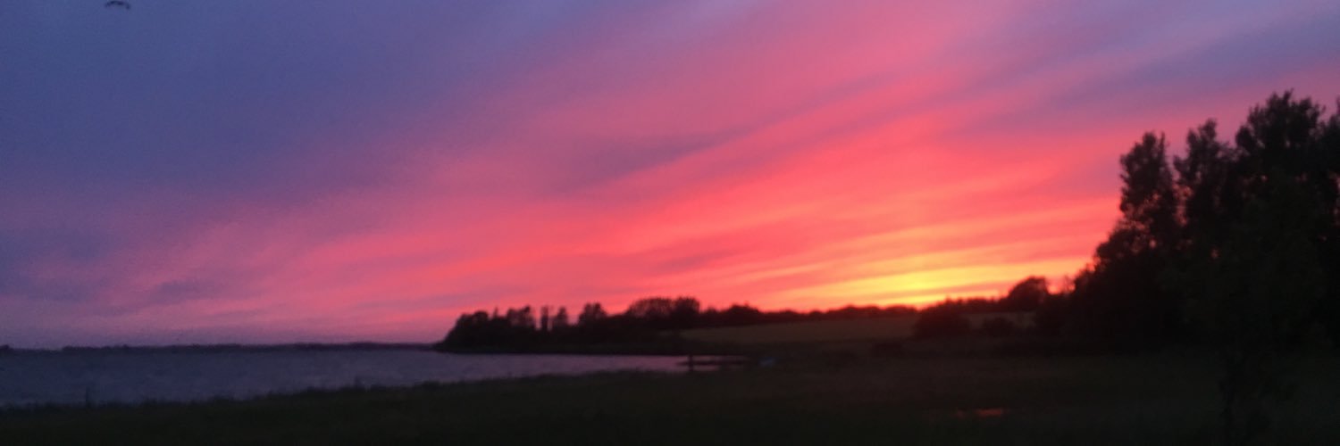 KatrineFriis's profile banner image