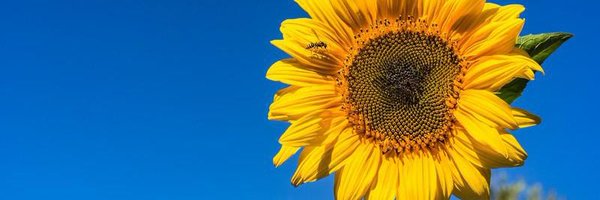 hmsarchitecture Profile Banner