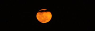 MauricioKfoury's profile banner image