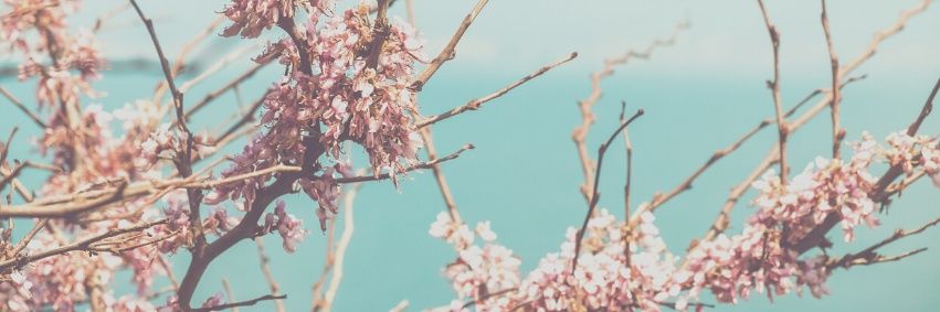 AnuTalks's profile banner image