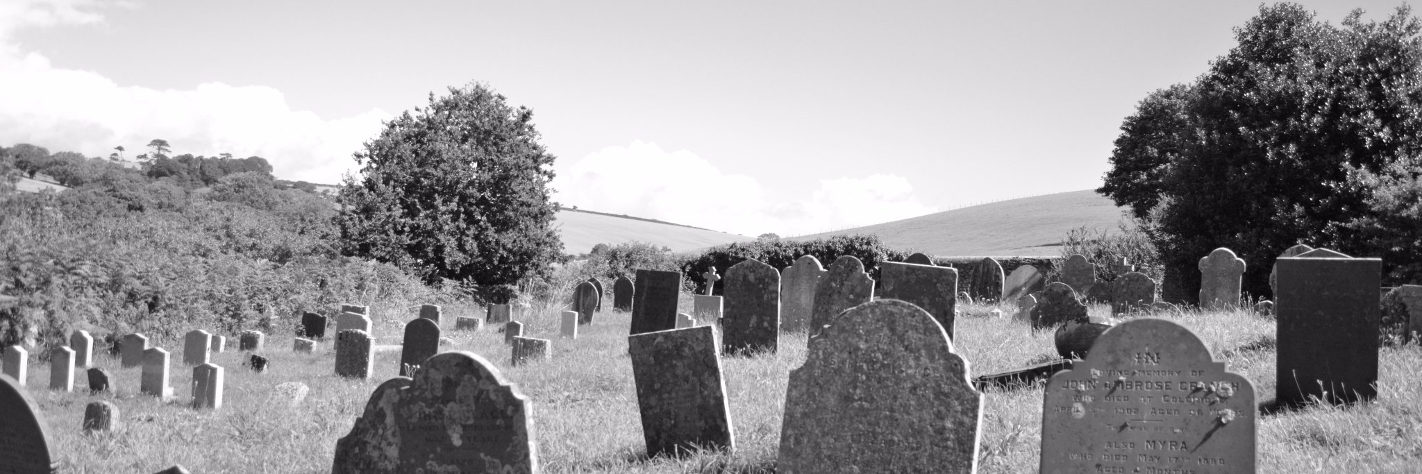 devonfhresearch's profile banner image