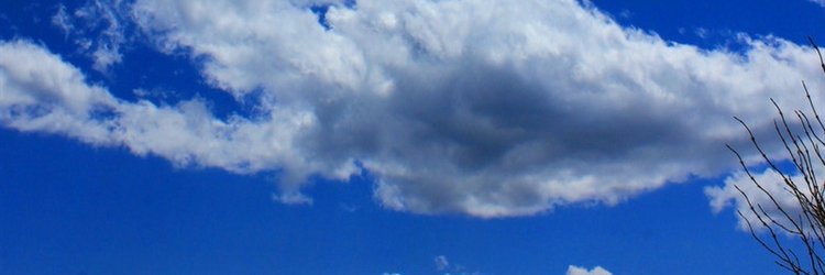falconstockbeta's profile banner image
