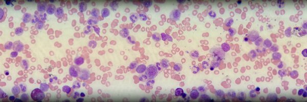 peterknopick Profile Banner