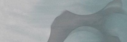 NickHassium's profile banner image
