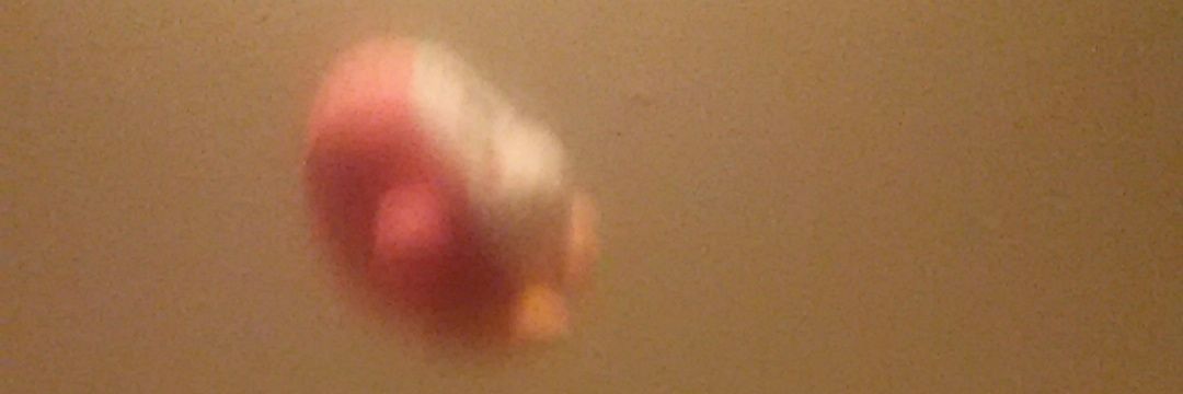FieryFetus banner