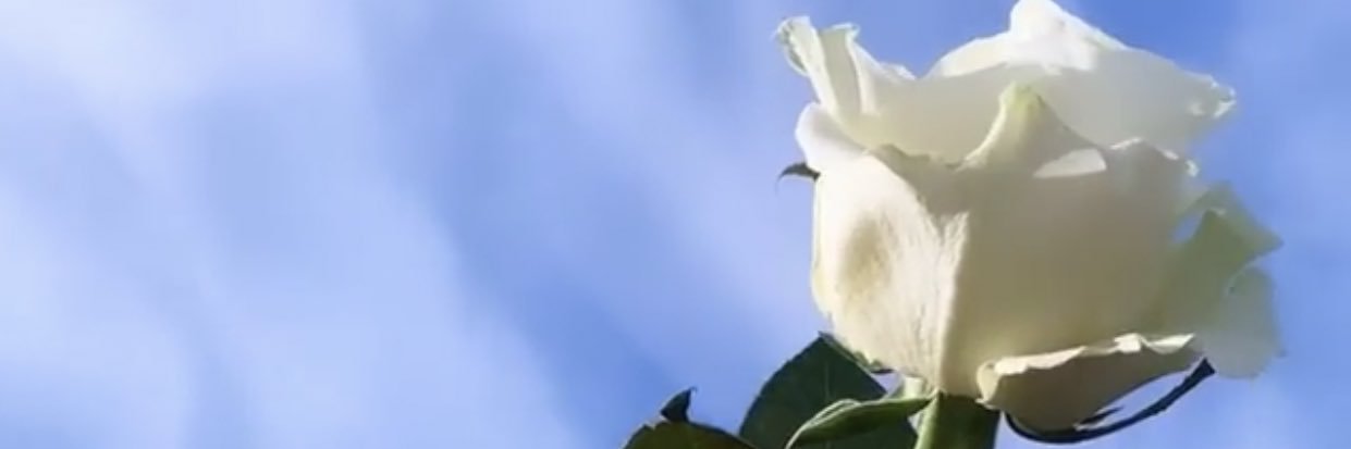 Marijosefh's profile banner image
