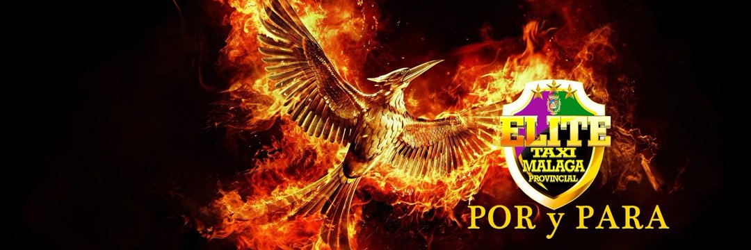 Paco Benitez banner