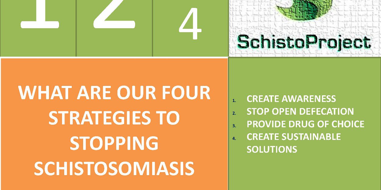 SchistoProject's profile banner image