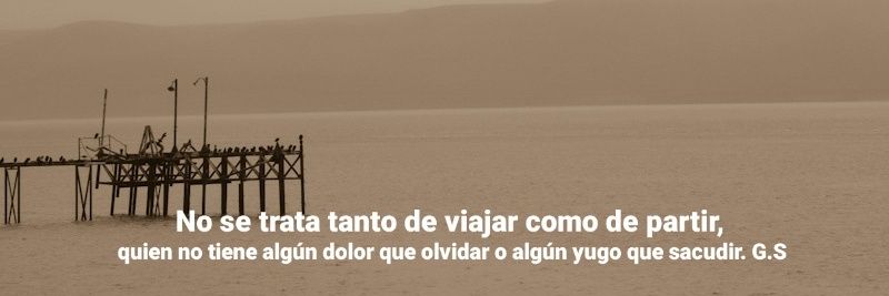 silviadelpozzi's profile banner image