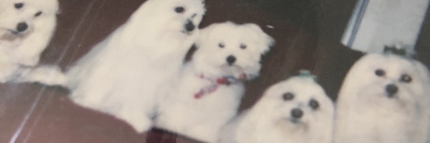 tomtiddy's profile banner image